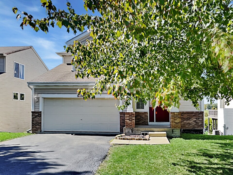 16016 Tahoe Ln in Crest Hill, IL - Building Photo