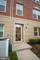 8024 Cayzer Ln in Gainesville, VA - Building Photo