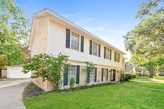 10719 Idlebrook Dr in Houston, TX - Building Photo - Building Photo