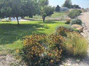 22563 Hanley Dr in Wilder, ID - Building Photo - Building Photo