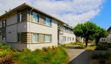 Olivewood in Sunnyvale, CA - Building Photo - Building Photo