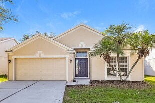10608 Walker Vista Dr in Riverview, FL - Building Photo