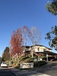 La Jolla Terrace in San Diego, CA - Foto de edificio - Building Photo