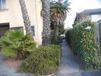 467 Linfield Pl in Goleta, CA - Building Photo - Building Photo