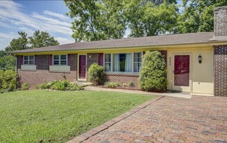 223 Sequoyah Dr in Johnson City, TN - Building Photo