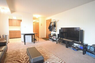 499 Snelling Ave S in St. Paul, MN - Building Photo - Interior Photo