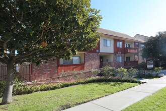 3736 Jasmine Ave in Los Angeles, CA - Building Photo - Building Photo