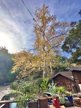 21513 Highvale Trl in Topanga, CA - Building Photo - Building Photo