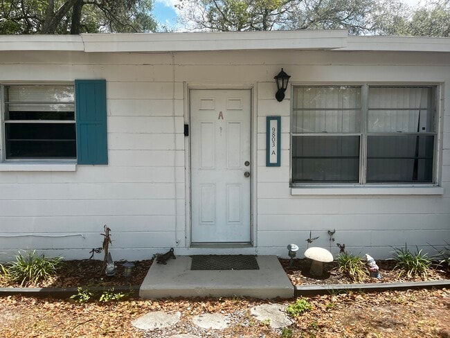 9803 N Aster Ave, Unit A in Tampa, FL - Building Photo - Building Photo