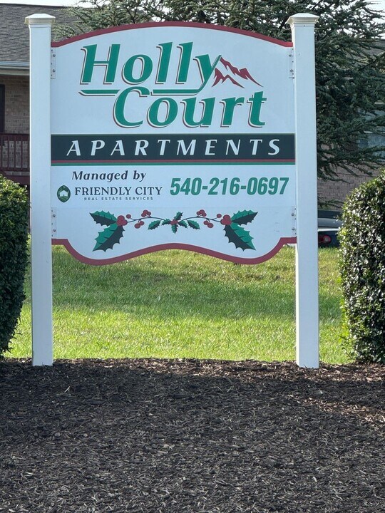 1 Holly Ct in Harrisonburg, VA - Building Photo