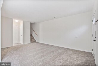 3813 Needles Pl in Alexandria, VA - Foto de edificio - Building Photo