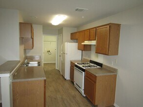 8508 Apple Carrie Cove in Austin, TX - Building Photo - Building Photo