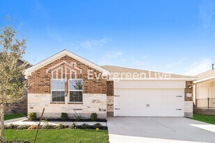 1113 Nesting Bird Dr in Georgetown, TX - Building Photo