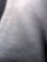 4332 NW 173rd Dr in Miami Gardens, FL - Building Photo