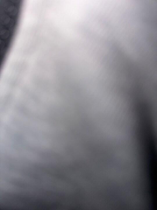 4332 NW 173rd Dr in Miami Gardens, FL - Building Photo