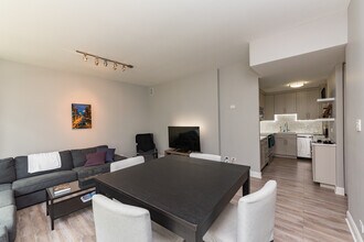 211 E Ohio St in Chicago, IL - Building Photo - Building Photo