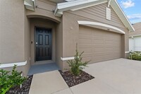 11402 Timber Grv Ln in Spring Hill, FL - Foto de edificio - Building Photo