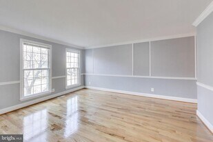 2851 Strauss Terrace in Silver Spring, MD - Building Photo
