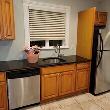 38 Rosemont St in Boston, MA - Building Photo - Building Photo