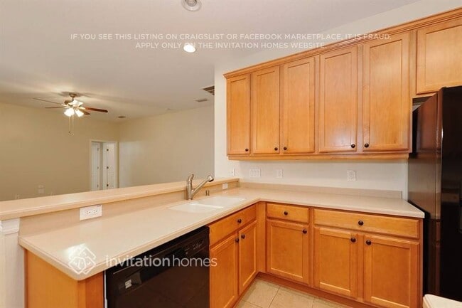 3838 Duke Firth St in Land O Lakes, FL - Building Photo - Building Photo