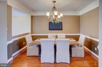 43577 Purple Aster Terrace in Leesburg, VA - Building Photo - Building Photo
