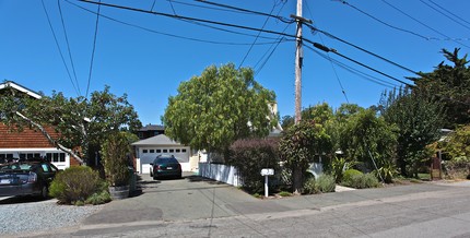 208 Scott St in Mill Valley, CA - Building Photo - Building Photo