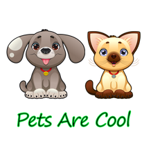 2316 NW 11th Ave in Amarillo, TX - Building Photo - Building Photo