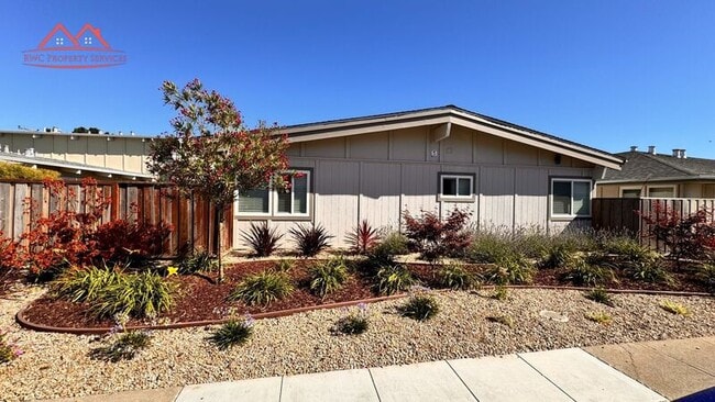 1829 El Parque Ct in San Mateo, CA - Building Photo - Building Photo