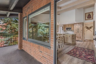 731 S Mill St in Aspen, CO - Building Photo - Building Photo