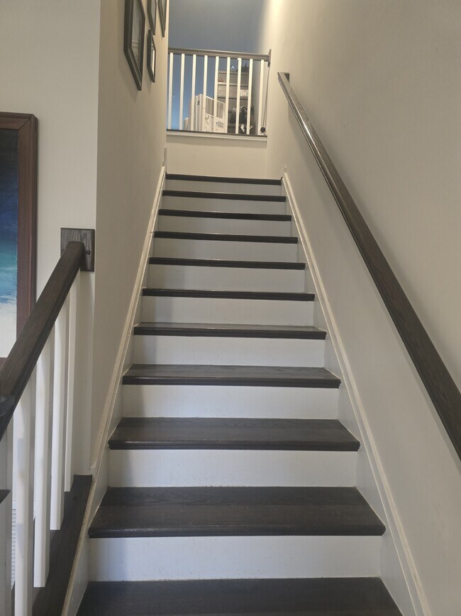 8593 Red Sage Way S in Frederick, MD - Building Photo - Building Photo