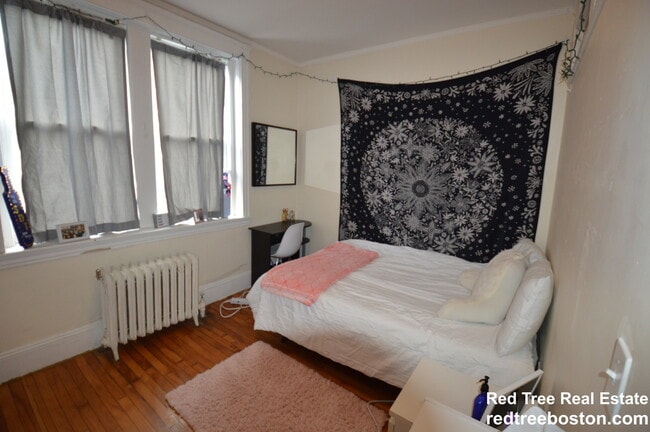 62 Egmont St in Brookline, MA - Foto de edificio - Building Photo