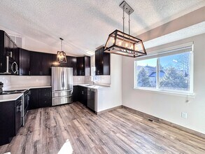 8240 Lythrum Dr in Colorado Springs, CO - Building Photo - Building Photo