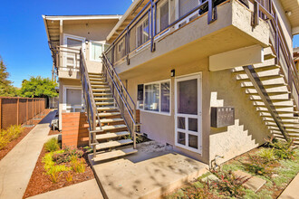 685 Foxtail Dr in Sunnyvale, CA - Building Photo - Building Photo