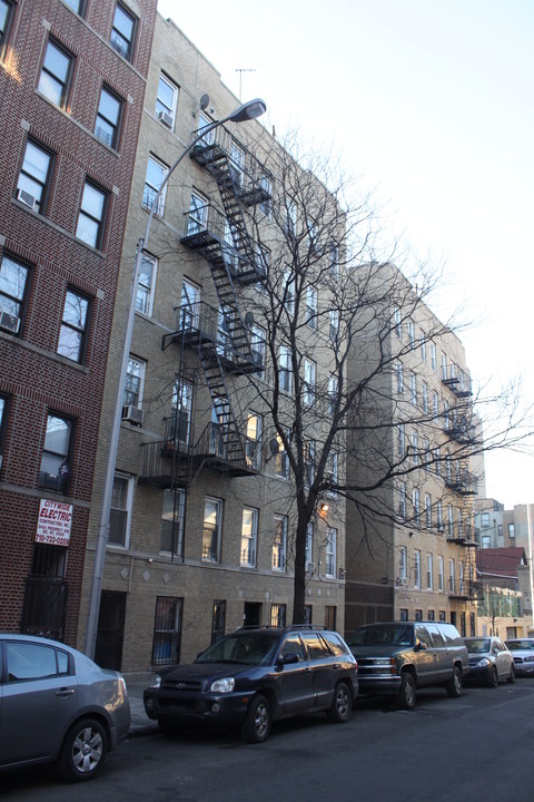 2420 Prospect Ave in Bronx, NY - Building Photo