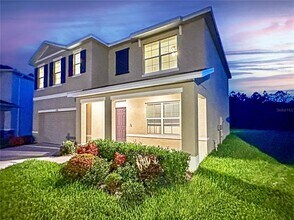 33351 Apricot Tree Ct in Wesley Chapel, FL - Building Photo - Building Photo