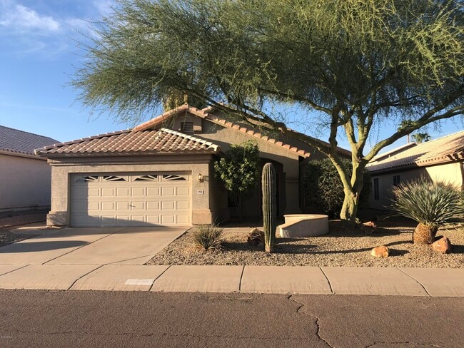 4436 E Badger Way