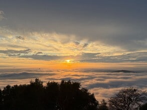 124 Bobcat Saddle in Oroville, CA - Building Photo - Building Photo