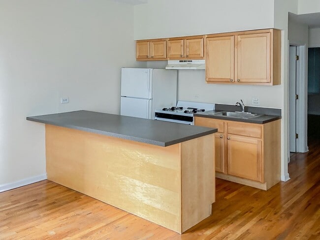 2519 N Lincoln Ave, Unit D2 in Chicago, IL - Building Photo - Building Photo