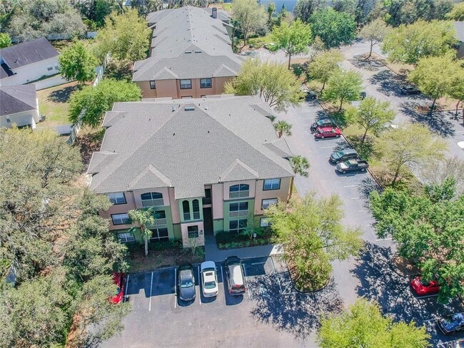 13015 Sanctuary Cove Dr in Temple Terrace, FL - Building Photo - Building Photo