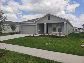 3917 Southern Vis Lp in St. Cloud, FL - Building Photo - Building Photo