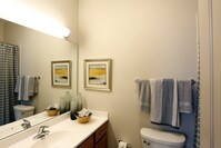 Carlisle - Bathroom - Orleans Landing Apartments in Detroit, Michigan