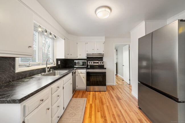 46 Elaine Rd in Milford, CT - Building Photo - Building Photo