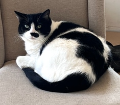 14548 W 19th St S in Sand Springs, OK - Building Photo