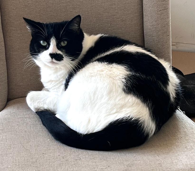 14548 W 19th St S in Sand Springs, OK - Foto de edificio