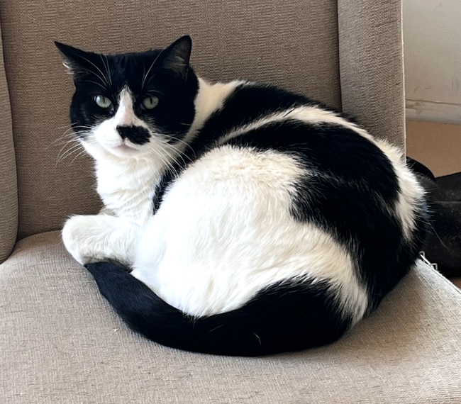 property at 14548 W 19th St S