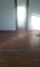 204 W Ells Ave in Champaign, IL - Building Photo - Building Photo