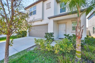 9913 Jackfruit Ct in Riverview, FL - Building Photo - Building Photo