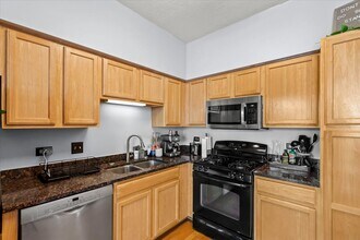 1134 W Granville Ave in Chicago, IL - Building Photo - Building Photo
