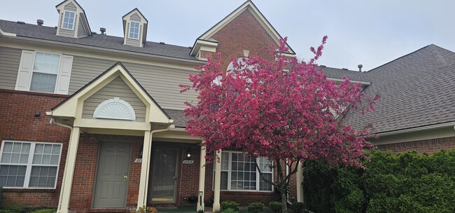 property at 27345 Hidden Oaks Dr