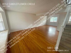 8552 Candleflower Cir in Colorado Springs, CO - Building Photo - Building Photo